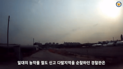 (영상)
