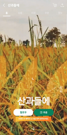 티몬, 진일보한 입점 파트너 채널 '브랜드홈' 론칭
