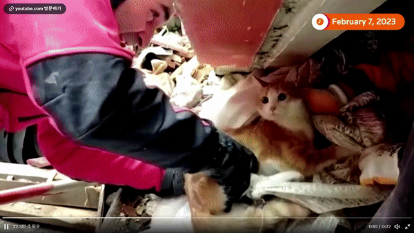 [영상] 