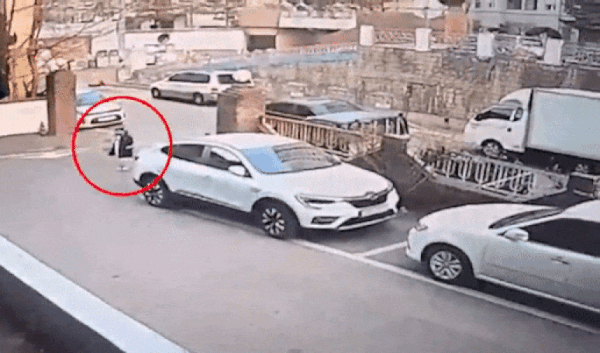 [영상] 스쿨존서 초등생 치고 도주… 차주 '모르쇠' 시전