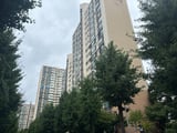 더불어민주당