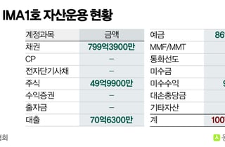 '안정형' 미래에셋표 IMA, 규모보다 질적 수익성에 방점