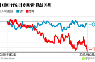 [시대Lab]해외 주식 사고, 현지에 유보…돌아오지 않는 달러