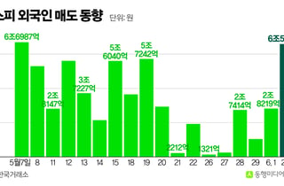 외국인들 18거래일 연속 코스피 팔았는데 '지분율'은 오히려 상승