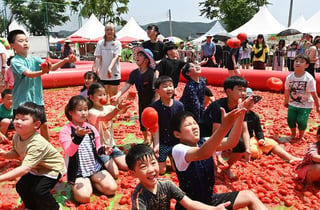 "신나게 놀며 무더위 이기자"… 퇴촌토마토거리축제 19일 개막