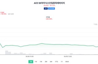 괴리율 85%…SK하이닉스 단일종목 레버리지, 투자유의 종목 적출