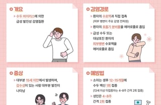 전남 수두 환자 2.7배 급증…학교·어린이집 방역 비상