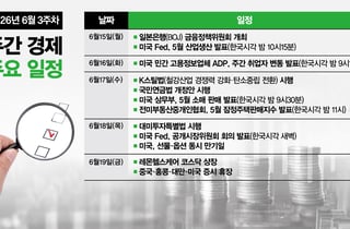 [주간경제전망]미국 FOMC·일본 중앙은행 금리 결정, 대미투자특별법 시행