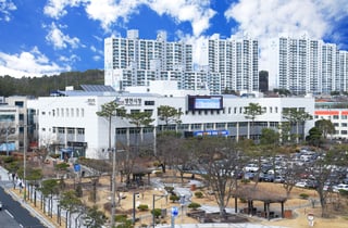 [영천 소식] 내년 마늘 재배농가 지원사업 신청 접수