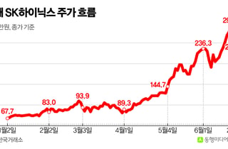 SK하이닉스, '목표가 430만원' 나왔는데 12% 급락…지금이 고점일까