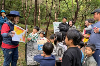 "숲에서 자란다"…관악구, 여름방학 맞아 유아숲 체험 운영
