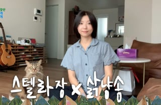 스텔라장이 부른 유한킴벌리 '삵냥이 송'…AI 캠페인 흥행 잇는다