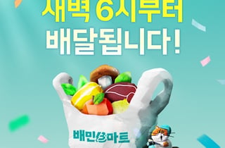 990원 실험·새벽배송까지…배민 신사업은 왜 B마트를 거칠까