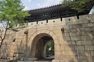 고양시, 북한산성 대서문 식생 정비…'세계유산 등재' 박차
