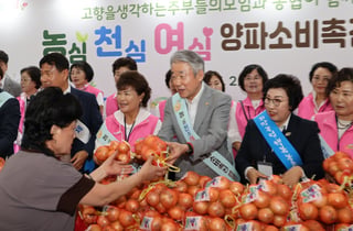 농협·고향주부모임, 창원서 양파 소비촉진 캠페인