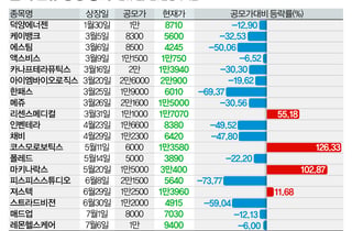 얼어붙은 IPO 시장…하반기 '대어'가 분위기 바꿀까