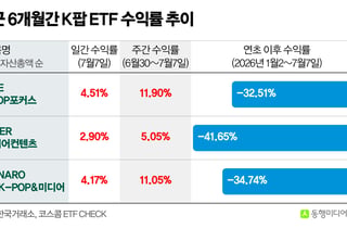 [체크!ETF] '악몽의 반년' 보낸 K팝 ETF, 하반기 반등 기대감