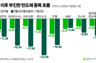 호실적 삼성전자도 연이틀 급락…AI '정점' 우려에 코스피 '먹구름'