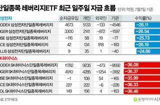 수익률 '마이너스'여도 개미 돈 몰린다…레버리지 ETF에 여전히 베팅