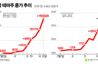 대형주 급등락에 '테마주'로 모인 관심…실적·기업가치 평가 없인 '낭패'