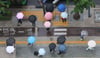 사회 많이 본 뉴스 이미지