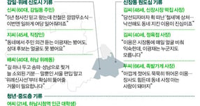 여론조사 지표상으로는 이광재 후보가 이용 후보를 한발 앞서가는 모양새다./그래픽=신재민 편집위원