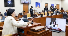 7일 시행된 개정 정보통신망법, 속칭 '가짜뉴스 규제법'(7·7법)의 제재 대상과 신고 주체. /그래픽=강지호 기자