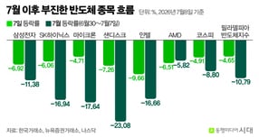 삼성전자가 호실적을 발표했지만 주가는 급락했다. 덩달아 미국 반도체 기업 주가도 일제히 하락세를 보였다. 사진은 7월 이후 주요 반도체 체 종목 및 지수 흐름. /사진=신재민 편집위원