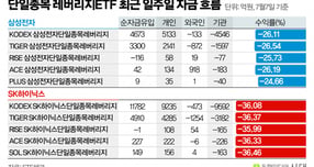 단일종목 레버리지 ETF에 개인 자금은 몰리는 반면 외국인과 기관은 순매도세를 보인다. 사진은 삼성전자·SK하이닉스 단일종목 레버리지 ETF 최근 일주일 자금 흐름. /사진=강지호 기자