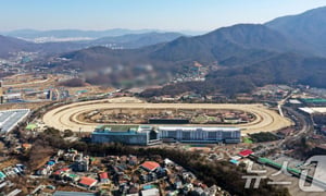 청와대는 7일 이르면 다음주 중 발표될 수도권 주택공급 대책을 관련 부처로부터 보고받았다. 이번 대책에서 그린벨트 해제 대상으로 검토되고 있는 경기 과천경마장 전경.  /사진=뉴스