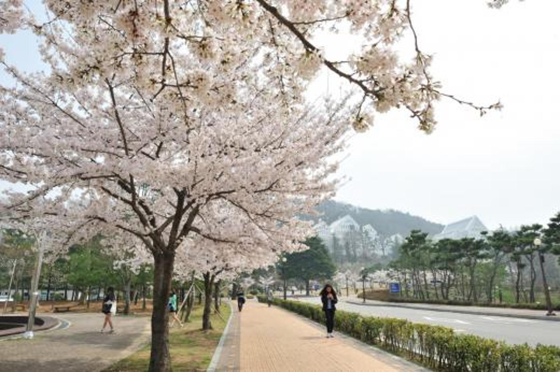 [날씨] 광주·전남 주말, 바람막이 입고 나들이 가세요