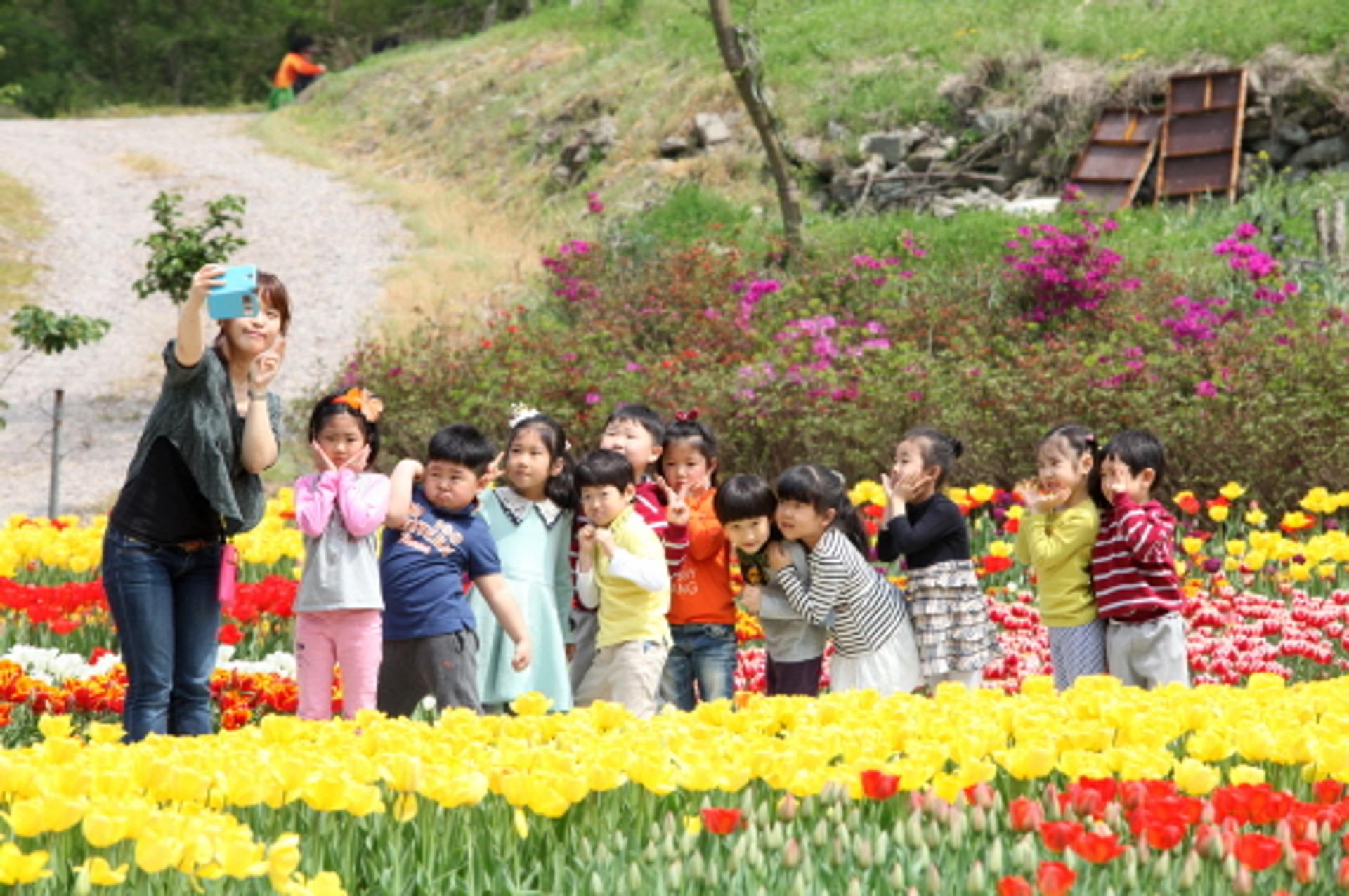 광주 동구, 16일 '동적골 튤립꽃동산' 개장