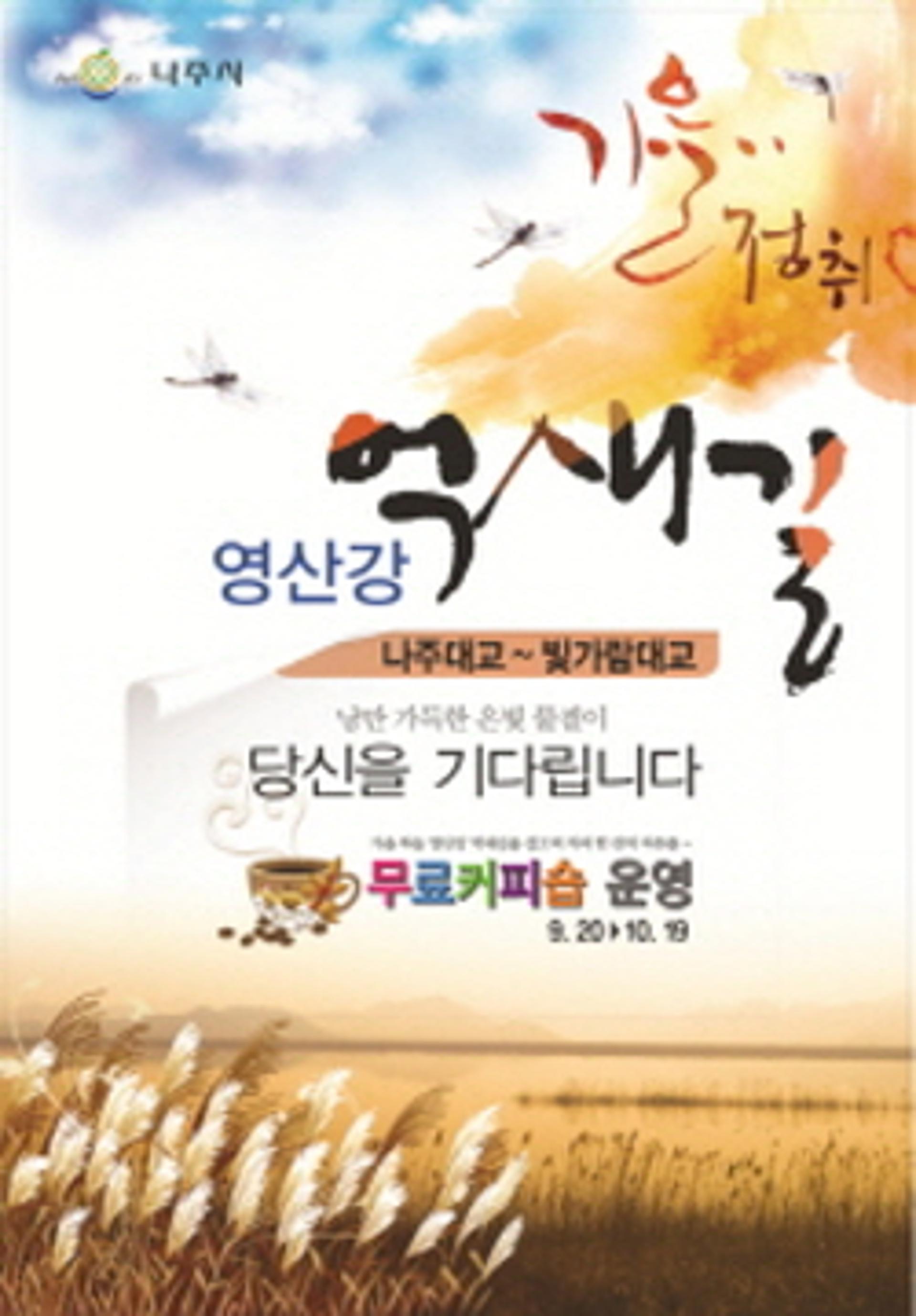 나주 영산강 억새길 '가을정취 물씬'