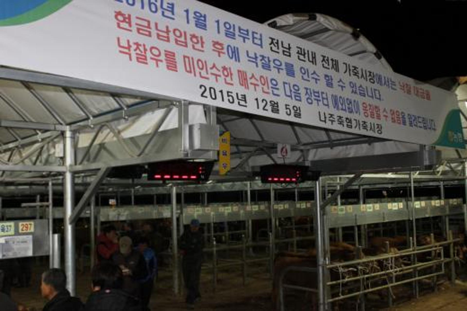 내년 1월1일부터 전남 가축시장 현금으로만 거래