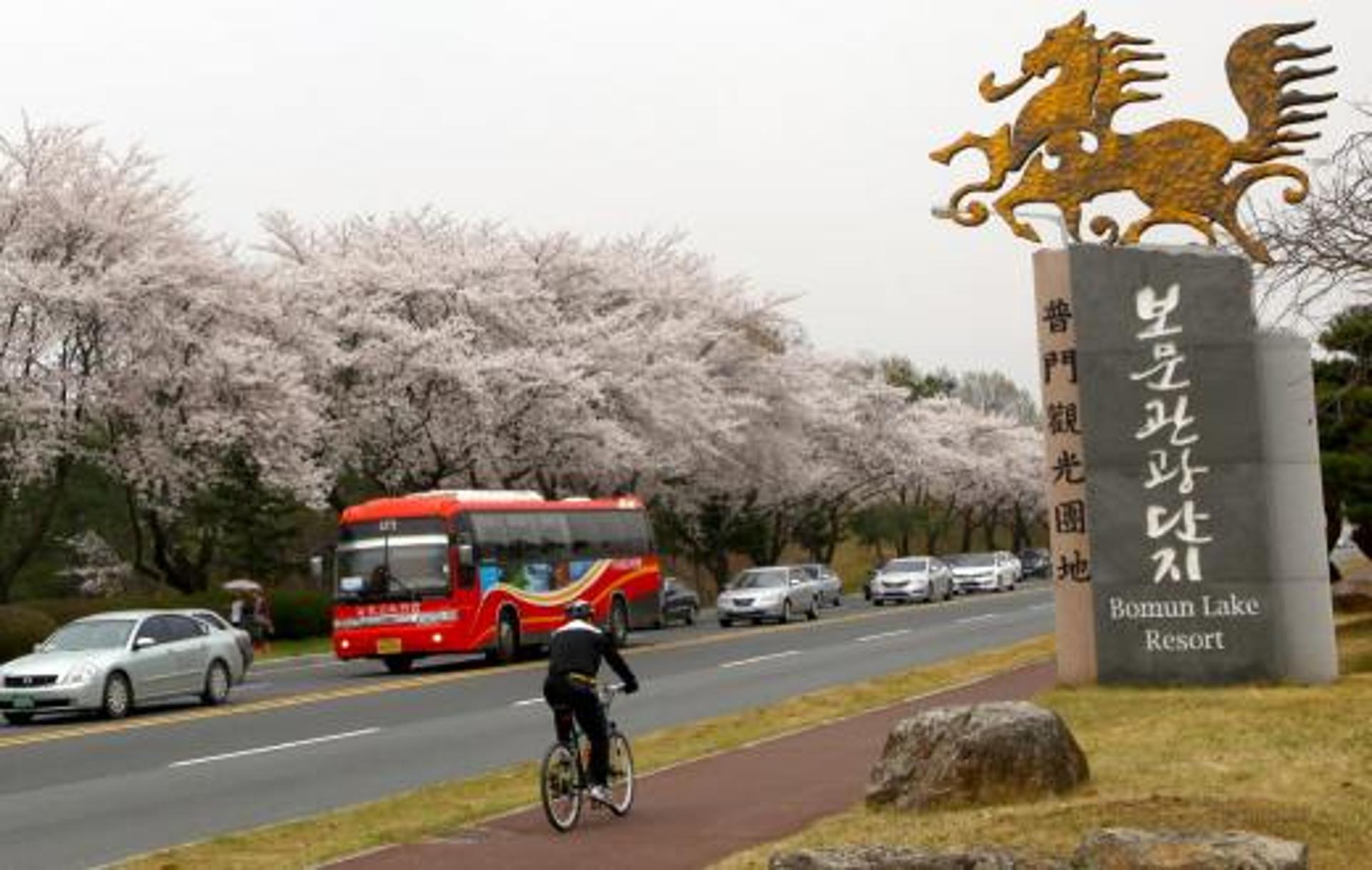 PLZ·경주 자전거하이킹… 동남아 관광객 관심 커질 듯