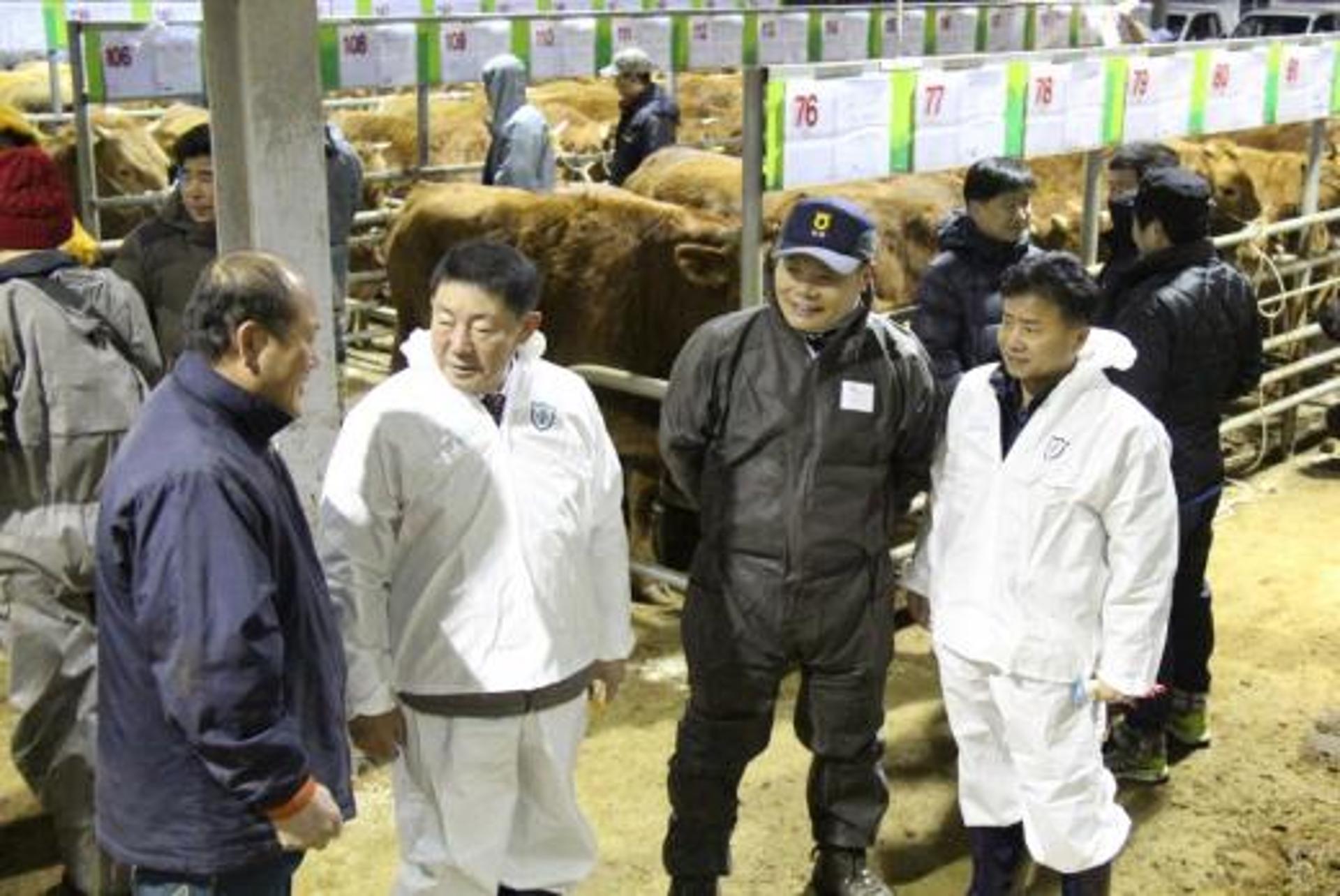 강남경 농협전남본부장, 가축시장서 현금거래 의견 청취
