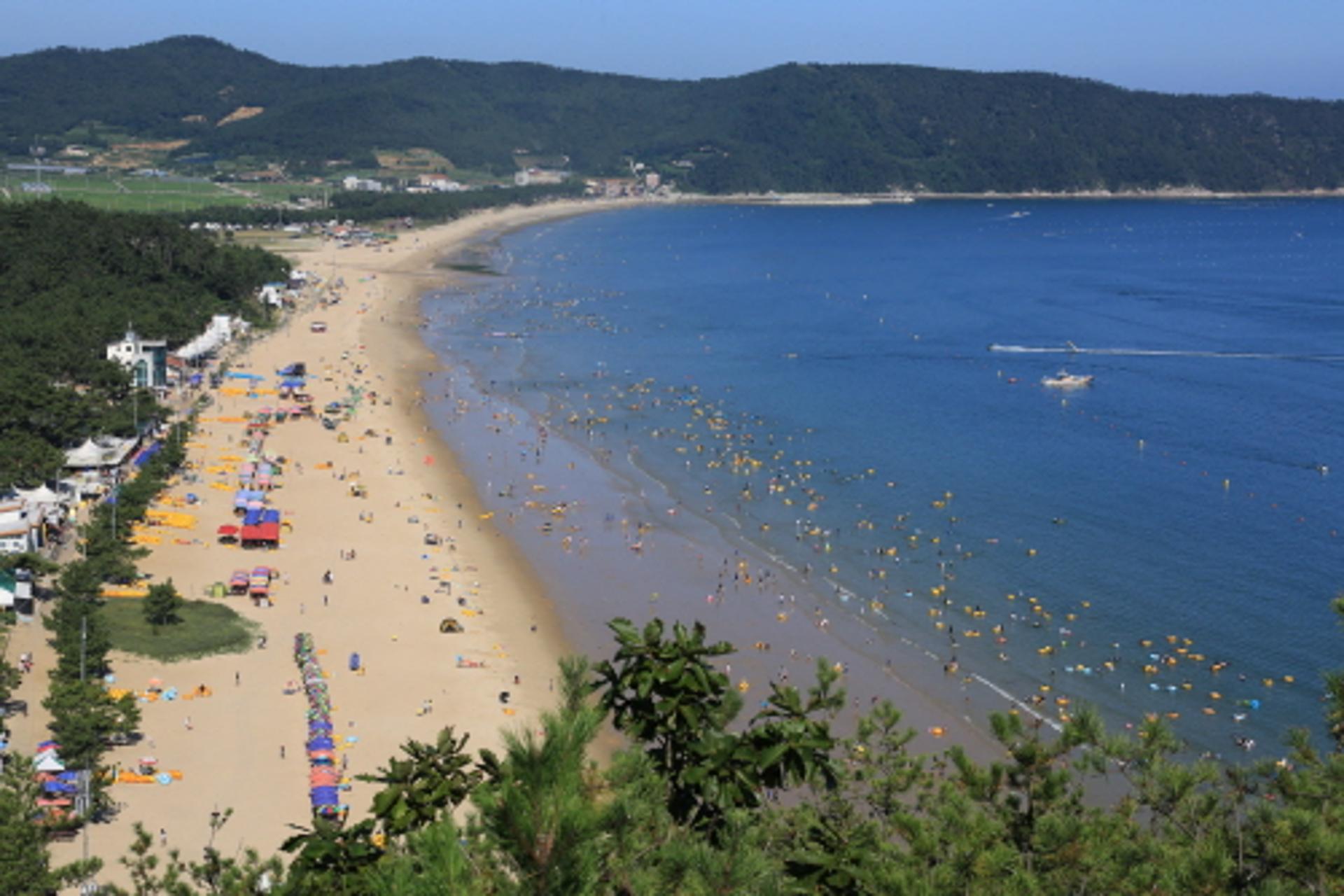 국제친환경 해변 인증, '완도 명사십리해수욕장' 개장