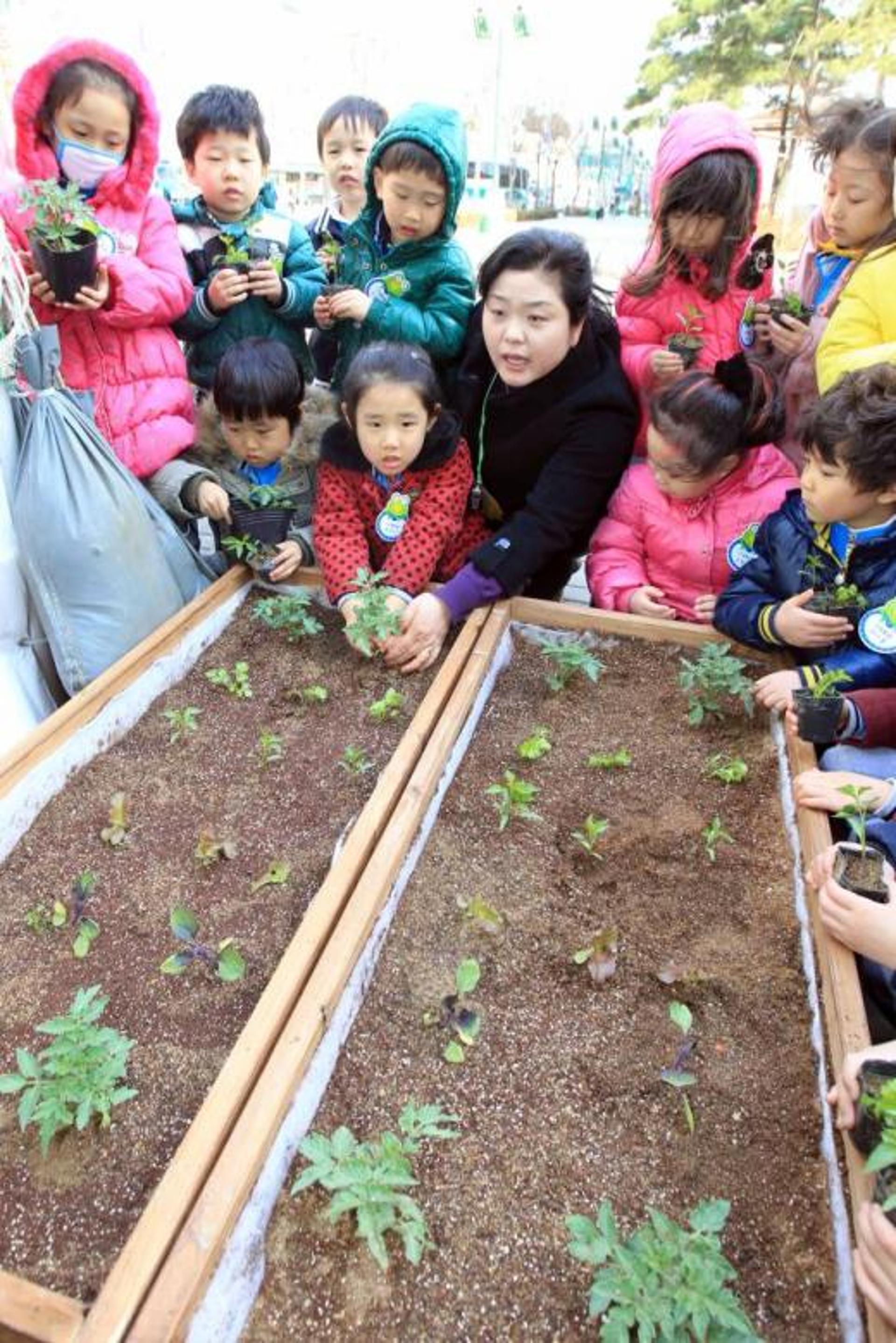 강동구 학교, 노후건물 안전진단