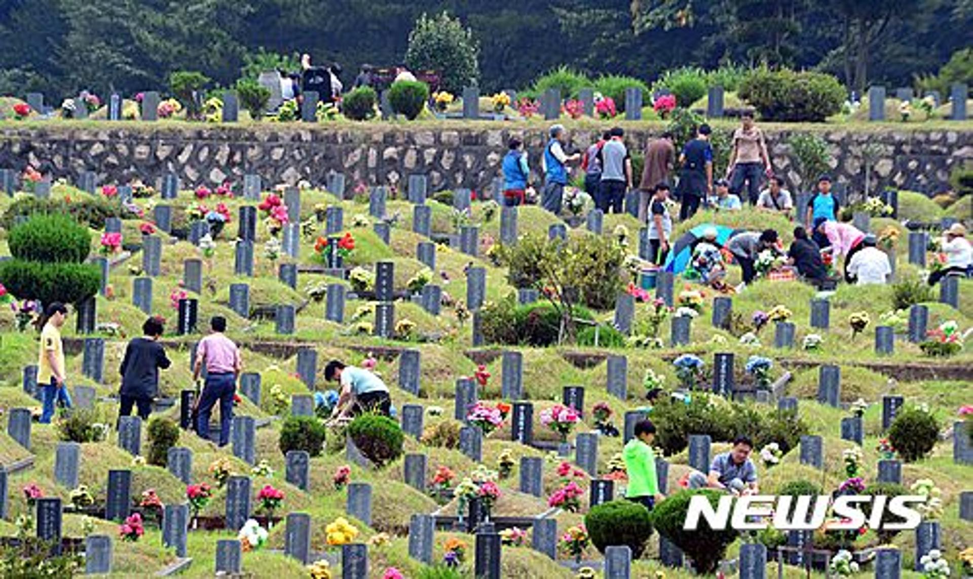 벌초 사고, 추석 앞두고 '벌쏘임·예초기' 주의… 사망·부상자 속출 '안전수칙 당부'