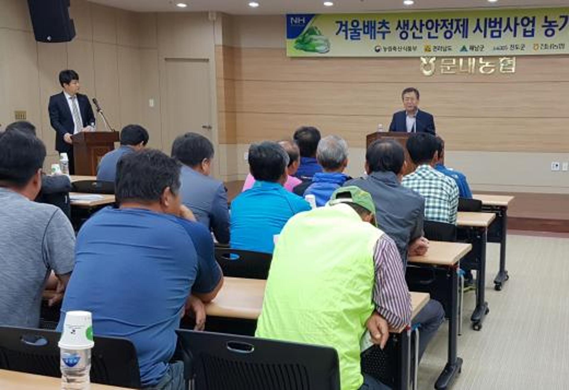 전남농협, 해남서 겨울배추 '생산안정제' 시범사업 농가설명회