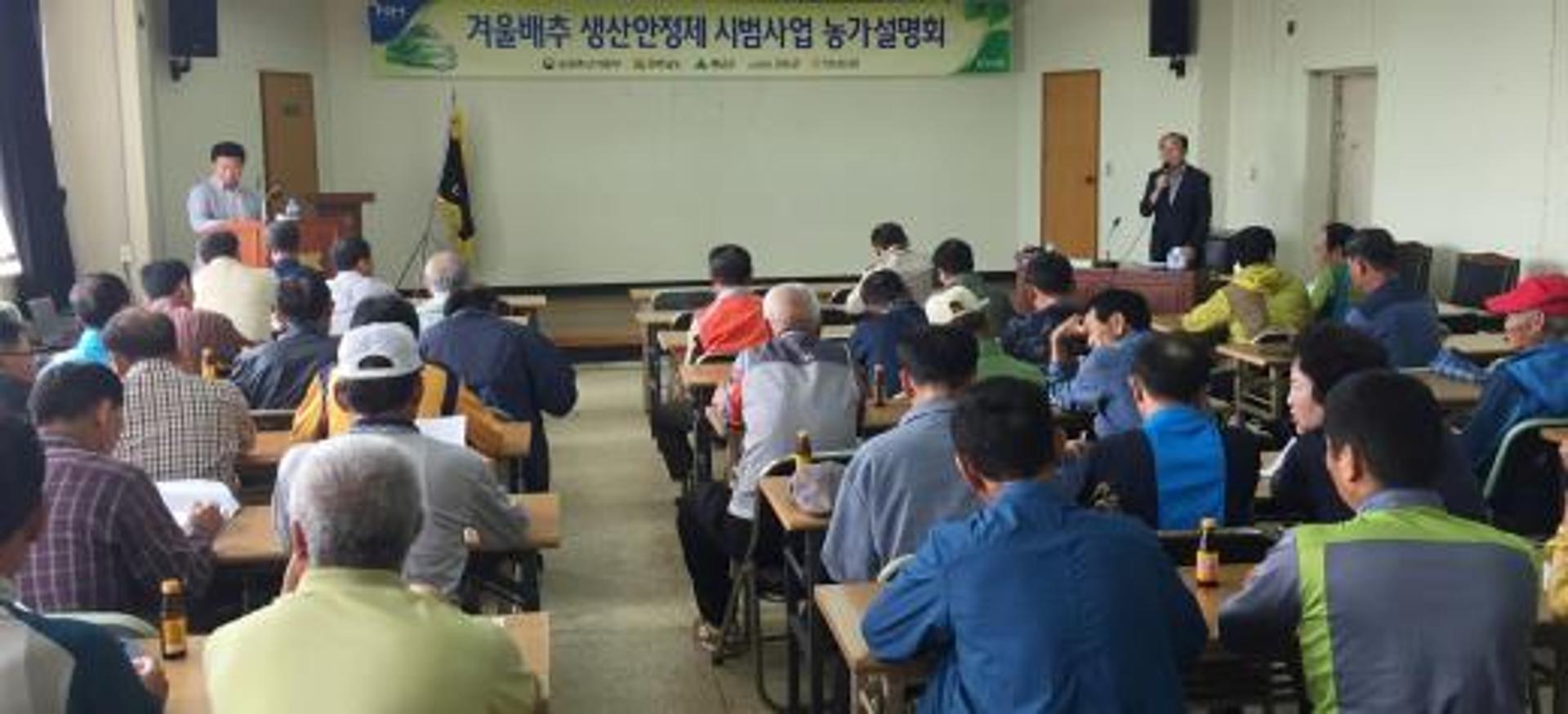 전남농협, 진도서 겨울배추 생산안정제 시범사업 설명회