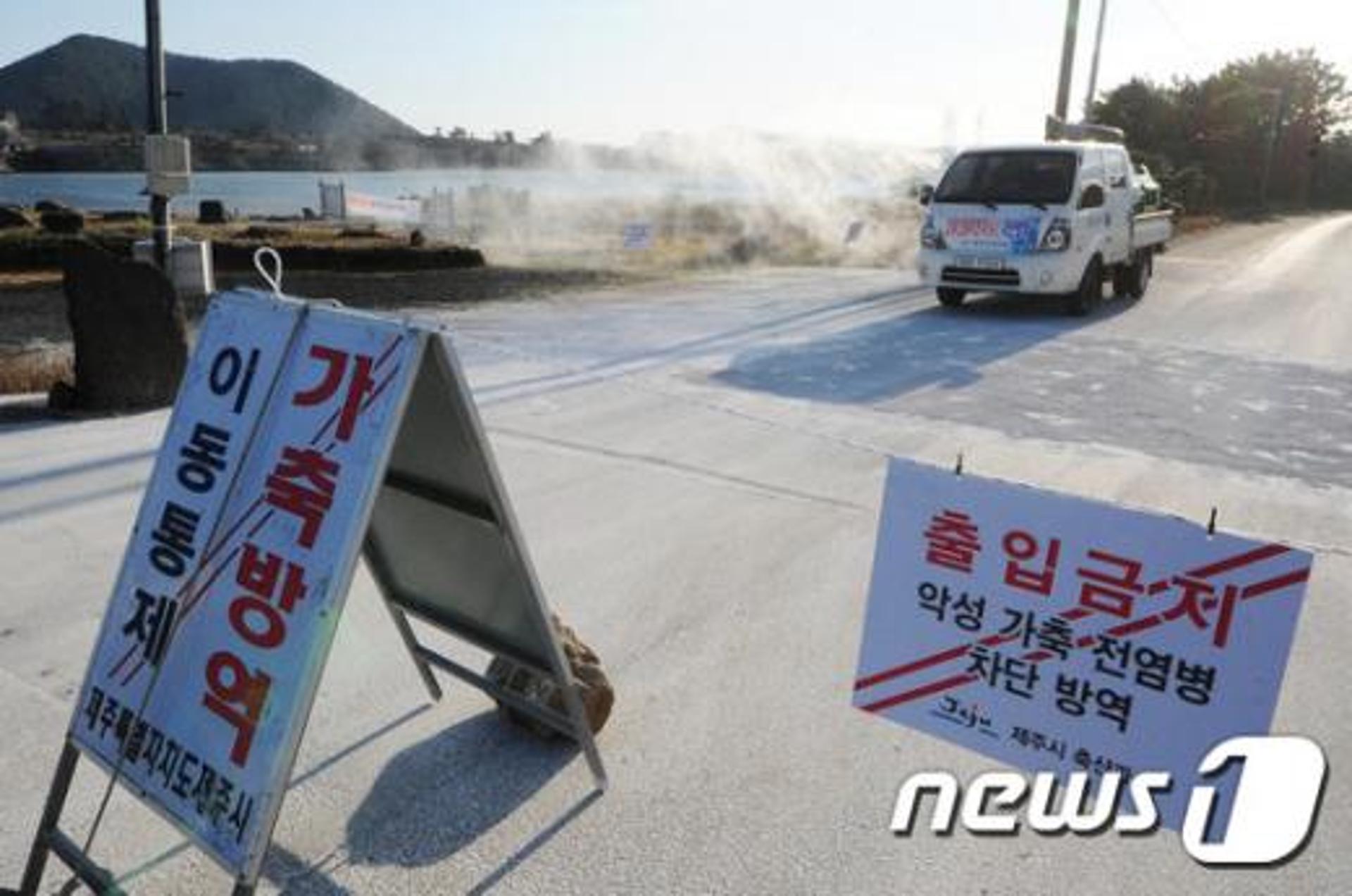 [속보] 제주 AI 바이러스 고병원성 확진 판정