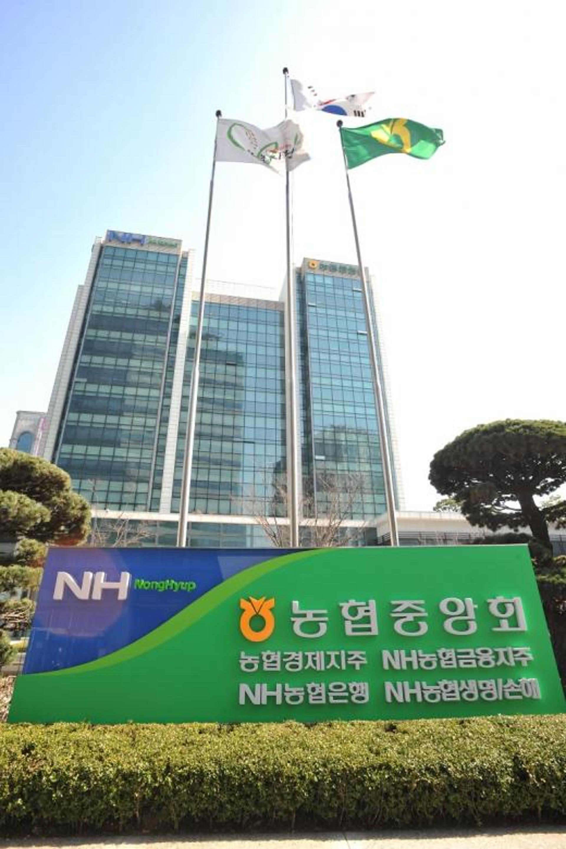 농협금융, 차기회장 인선작업 착수… 김용환 회장 연임도 솔솔