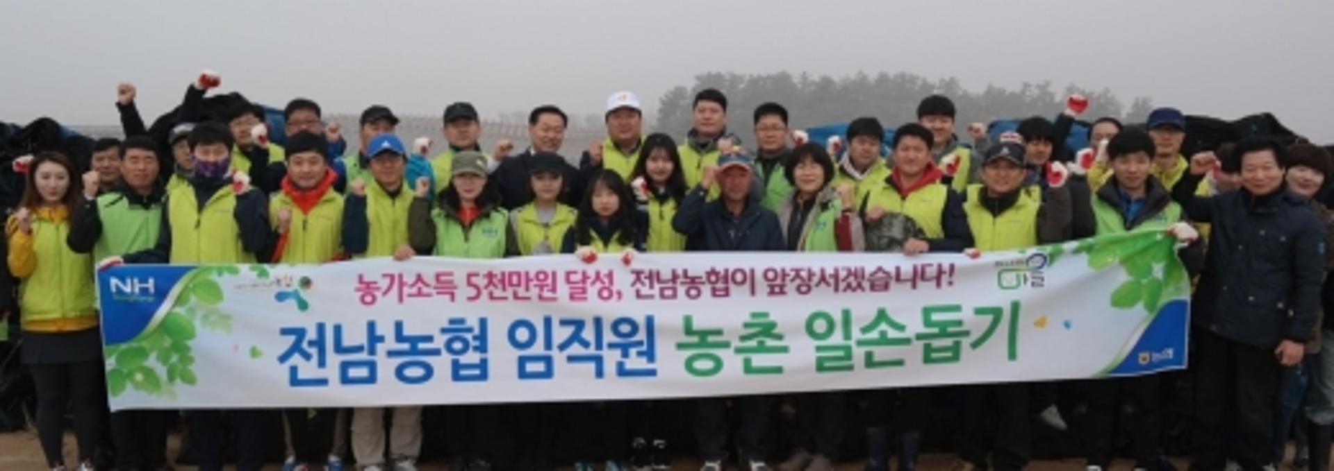 전남농협, 영광 인삼재배 농가서 '농촌 일손돕기' 구슬땀