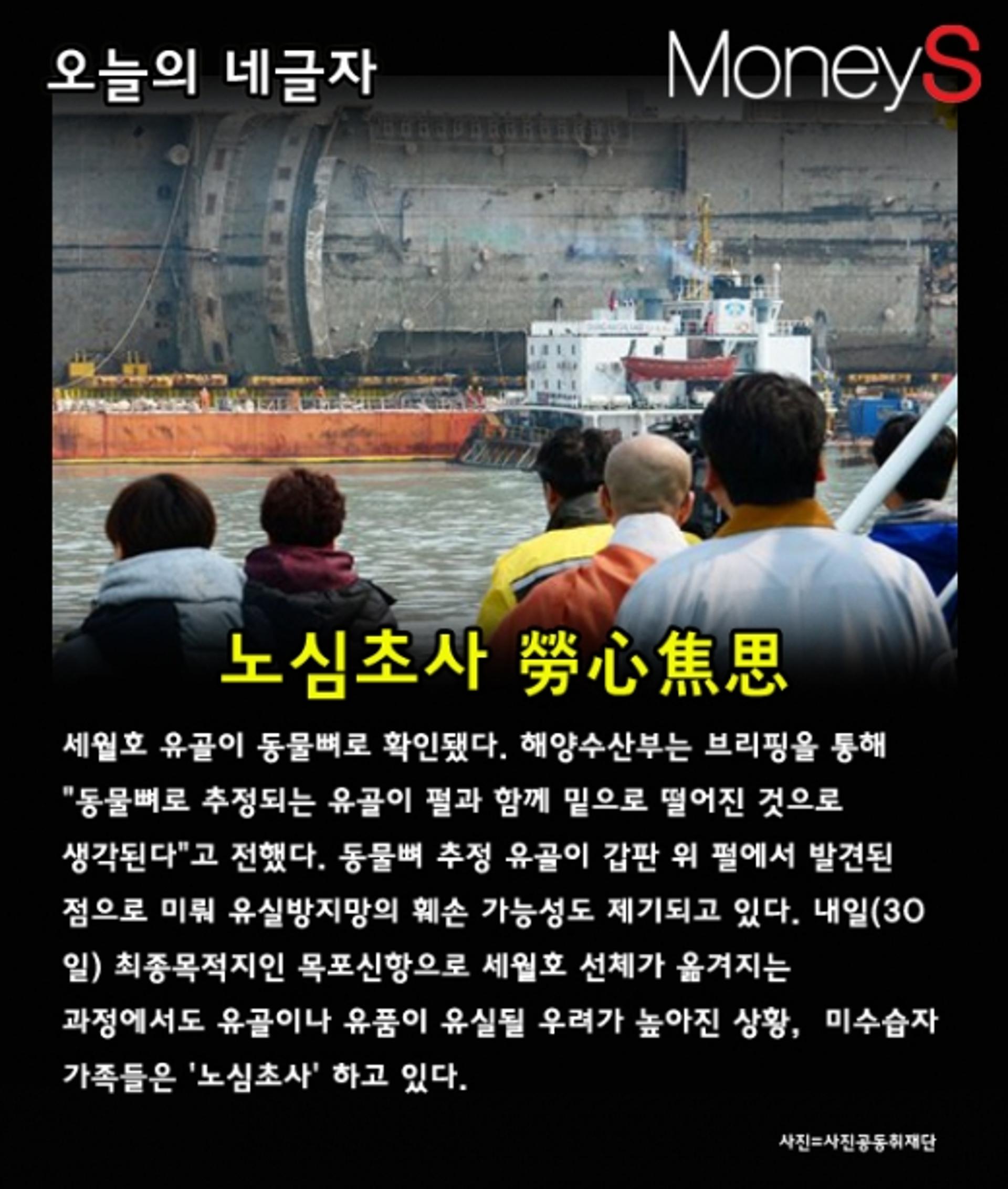 [오늘의 네글자] 세월호 동물뼈, 미수습자 가족 유실우려에 '노심초사'