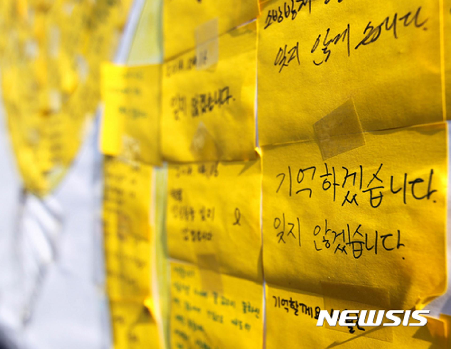 세월호 추모 행사, 제주에서도 핀 노란물결… "절대 잊지 않겠습니다"