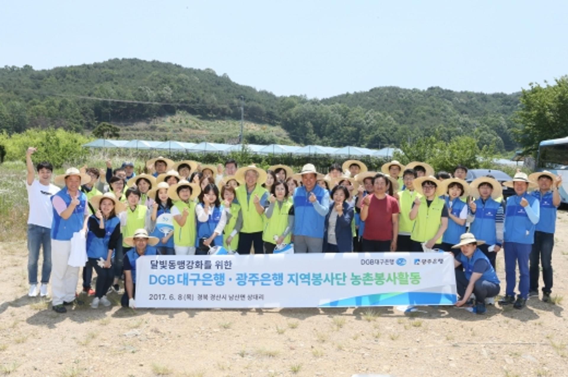 ‘달빛동맹’ 광주-대구은행, 경북 경산서 농촌 일손돕기