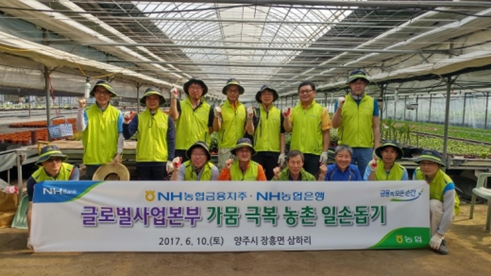NH농협은행 글로벌사업본부, 가뭄 피해지역 일손돕기 실시