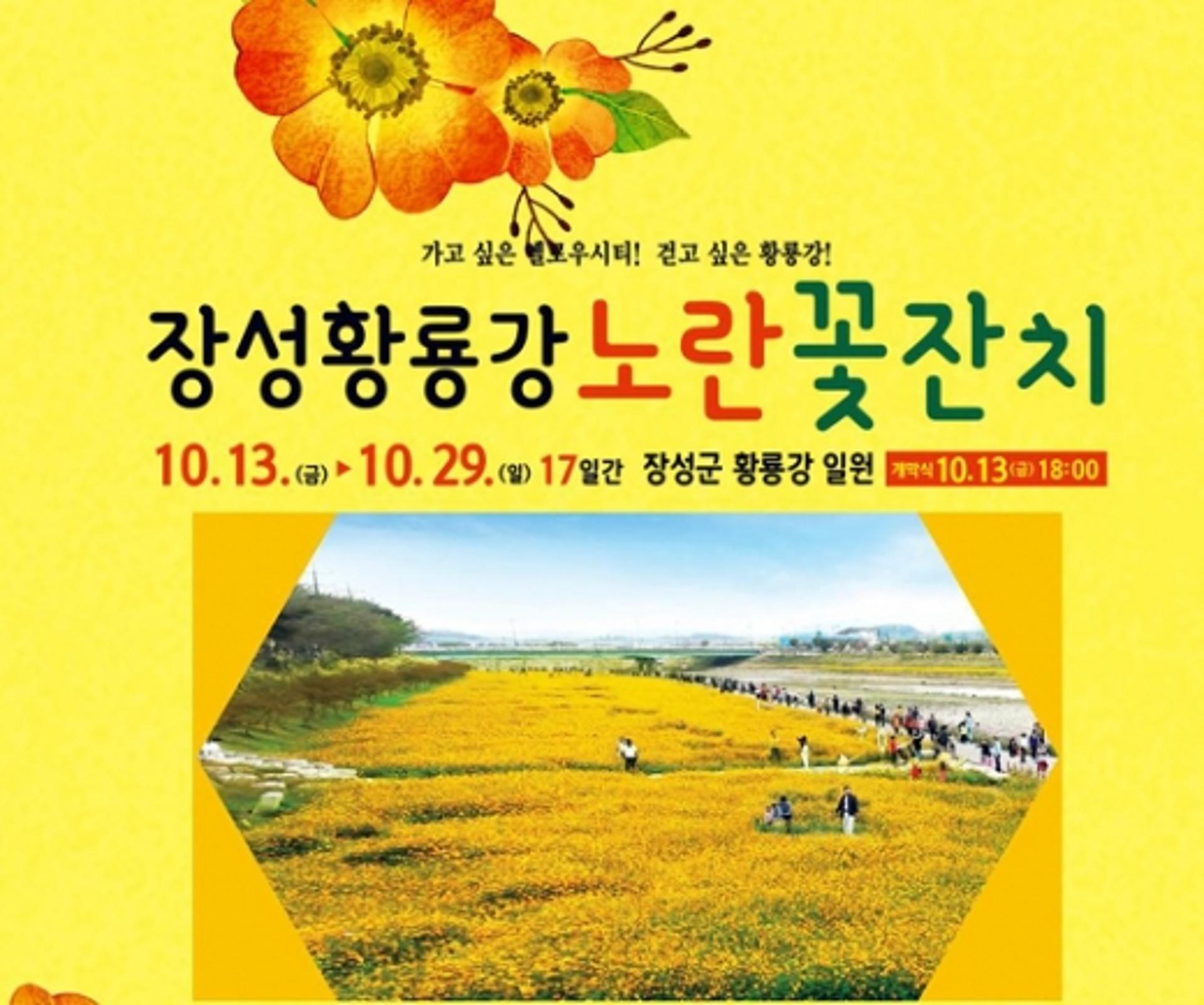 장성 황룡강 노란꽃잔치 내달 13일 '팡파르'