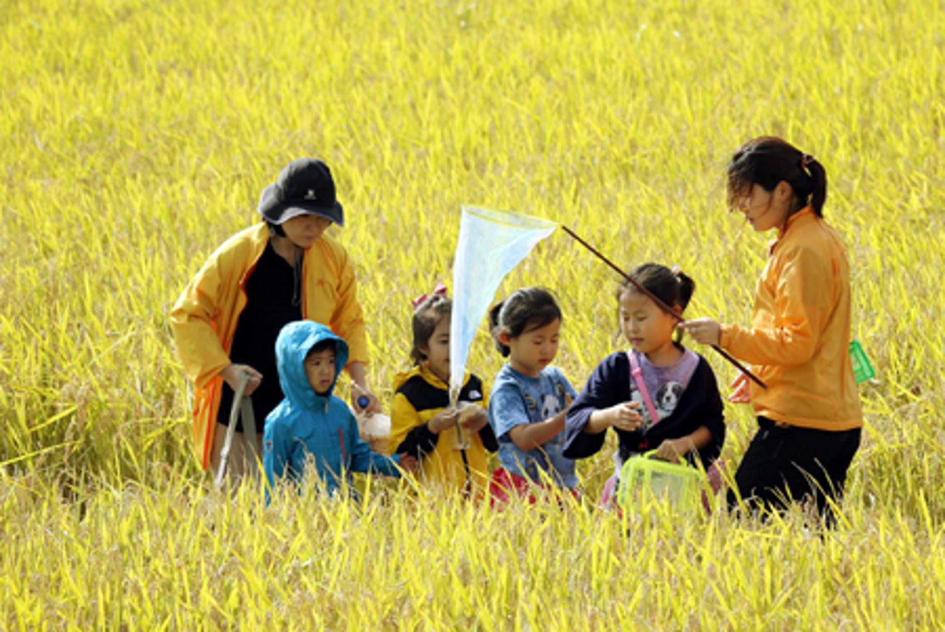 전남 강진, 가을축제에 흠뻑 빠지다